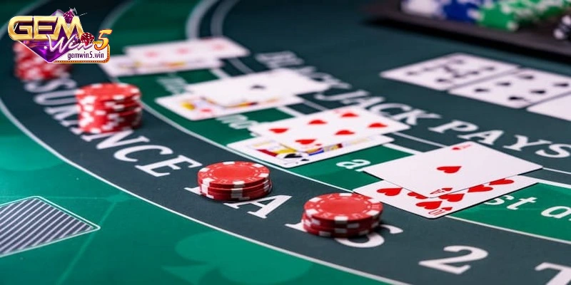 bao-hiem-ca-cuoc-kiem-tra-dieu-khoan