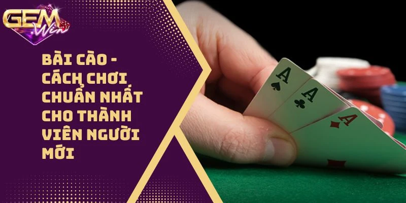 Bài Cào – Cách Chơi Chuẩn Nhất Cho Thành Viên Người Mới