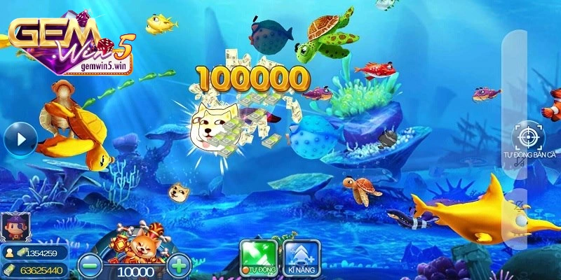 ban-ca-rong-hang-tram-loai-ca